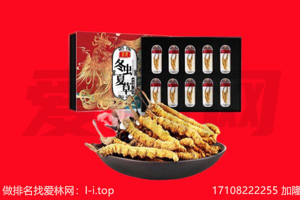 荣昌区回收虫草.jpg